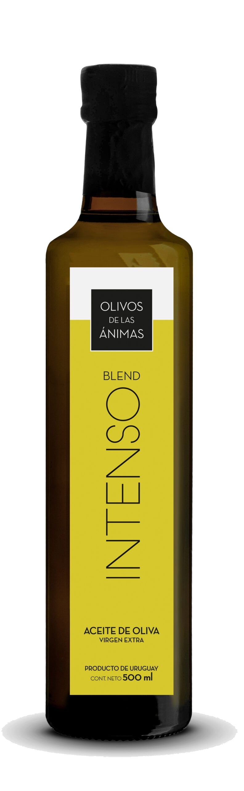 intenso-sin-fondo Blend Intenso